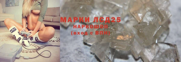 apvp Гусев