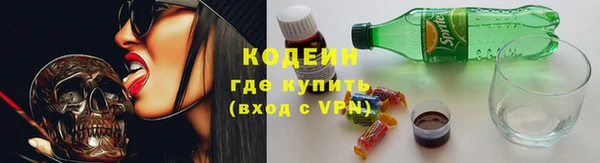 apvp Гусев