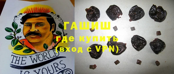 apvp Гусев