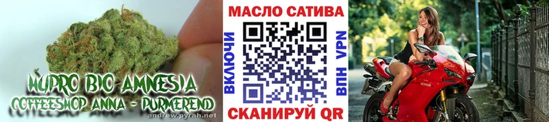 Купить где  Кинель  ТГК гашишное масло 