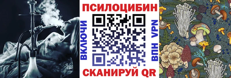 Купить где  Кинель  Псилоцибиновые грибы Psilocybine cubensis 
